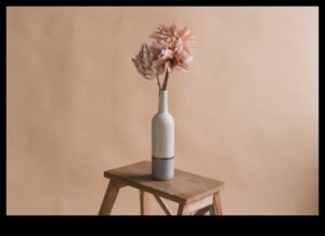 Minimalist Marvels: שליטה בפשטות בצילום