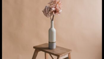 Minimalist Marvels: שליטה בפשטות בצילום