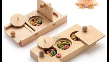 המשך רעיונות להעשרת אוגרים: מאכילים וצעצועים לפאזל עשה זאת בעצמך