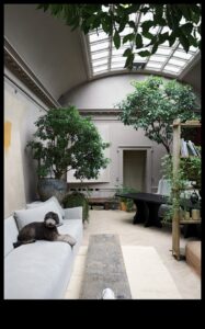 איך אני יכול לשלב אלמנטים טבעיים בעיצוב הבית שלי?