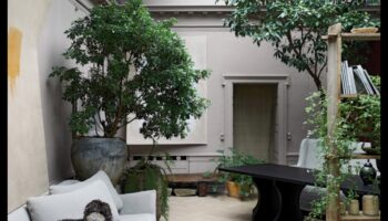 איך אני יכול לשלב אלמנטים טבעיים בעיצוב הבית שלי?